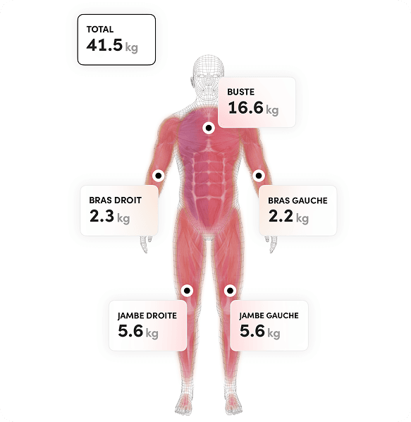 IMG_INBODY_02.png