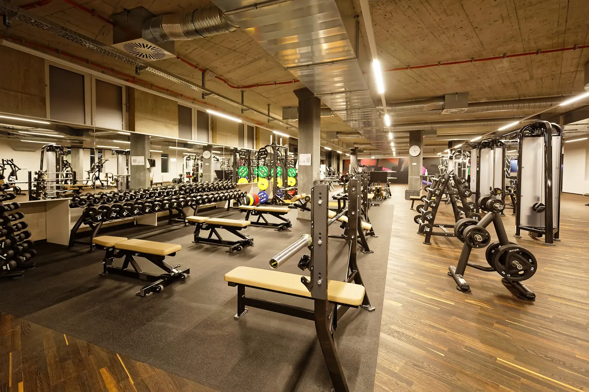 LGF_Equipment_Free_Weights.webp